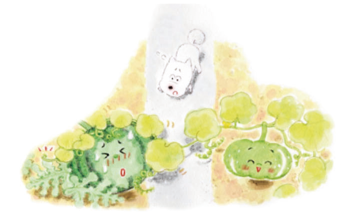 かぼちゃのつる
