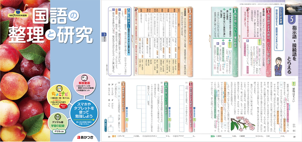 国語の整理と研究